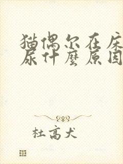 猫偶尔在床上拉尿什么原因封面