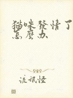 猫咪发情了乱尿怎么办