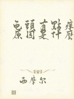 龟头有点痒什么原因是什么封面