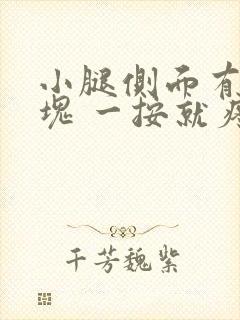 小腿侧面有个硬块 一按就疼封面