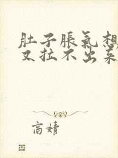 肚子胀气想拉屎又拉不出来怎么办