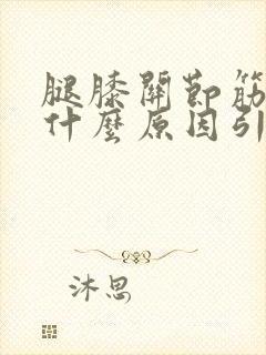 腿膝关节筋痛是什么原因引起的