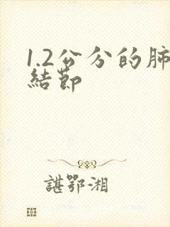 1.2公分的肺结节