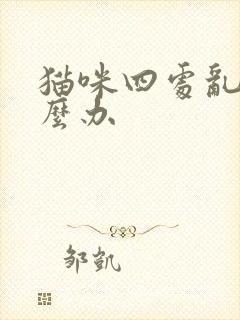 猫咪四处乱尿怎么办