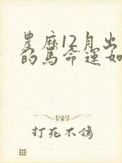 农历12月出生的马命运如何