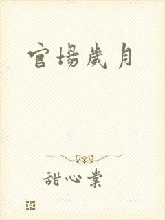 官场岁月封面