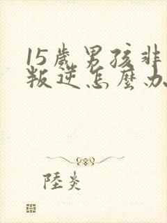 15岁男孩非常叛逆怎么办封面