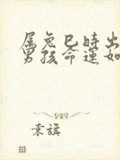 属兔巳时出生的男孩命运如何