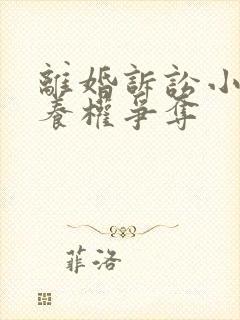 离婚诉讼小孩抚养权争夺