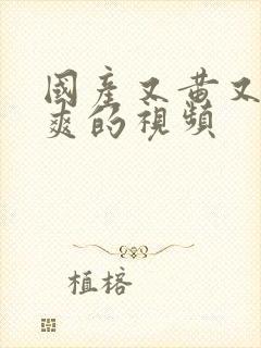 国产又黄又色又爽的视频封面