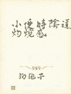 小便时阴道口有灼烧感封面