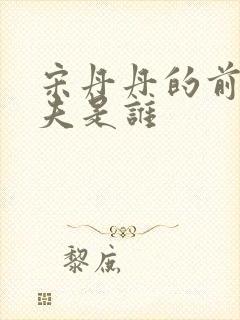 宋丹丹的前任丈夫是谁