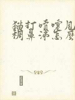 猫打喷嚏甩出浓稠鼻涕怎么治疗