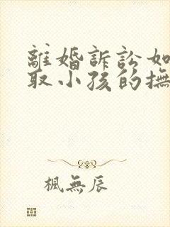 离婚诉讼如何争取小孩的抚养权封面