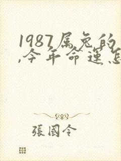 1987属兔的,今年命运怎么样