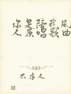 你是陪我风雨的人原唱歌曲