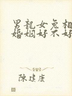 男龙女兔相结合婚姻好不好