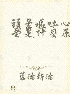 头晕呕吐心里难受是什么原因引起的