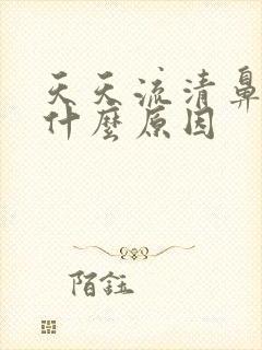 天天流清鼻涕是什么原因