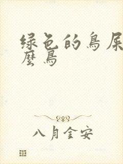 绿色的鸟屎是什么鸟