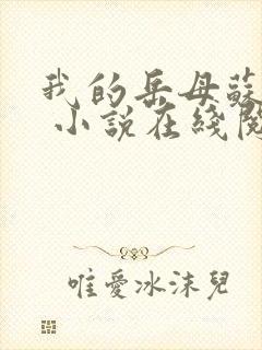 我的岳母苏沛真 小说在线阅读