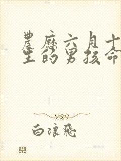 农历六月十二出生的男孩命运