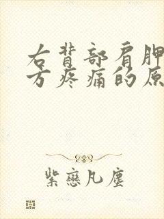 右背部肩胛骨下方疼痛的原因