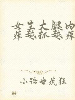 女生大腿内侧痒痒越抓越痒有小红疙瘩