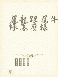 属龙跟属牛的姻缘怎么样