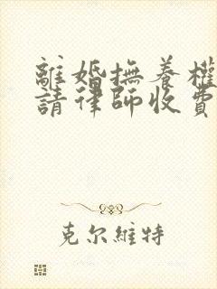 离婚抚养权官司请律师收费