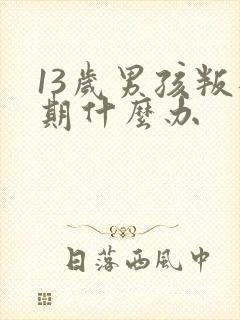 13岁男孩叛逆期什么办封面