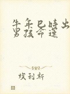 牛年巳时出生的男孩命运