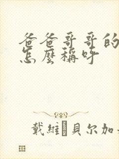 爸爸哥哥的儿子怎么称呼