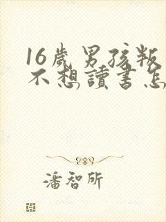 16岁男孩叛逆不想读书怎么办封面