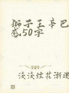 狮子王辛巴读后感50字