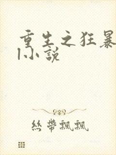 重生之狂暴火法l小说