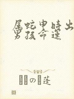 属蛇申时出生的男孩命运