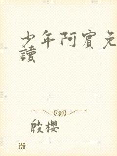少年阿宾免费阅读