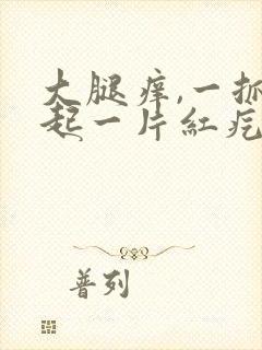 大腿痒,一抓就起一片红疙瘩什么原因