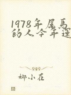 1978年属马的人今年运气如何