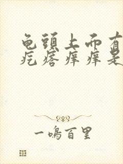 龟头上面有小红疙瘩痒痒是怎么回事