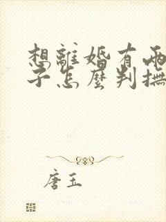 想离婚有两个孩子怎么判抚养权