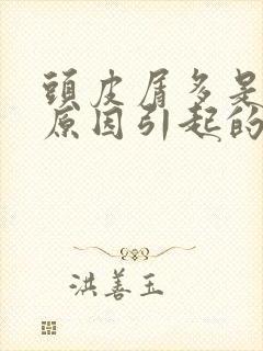 头皮屑多是什么原因引起的呀封面