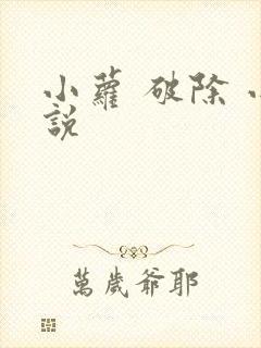 小萝 破除 小说