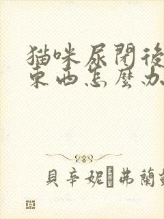 猫咪尿闭后不吃东西怎么办