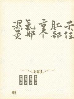 湿气重肚子大艾灸哪个部位