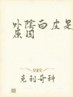 外阴白皮是什么原因