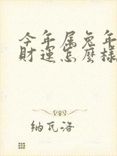 今年属兔年人的财运怎么样