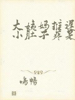 大姨妈推迟五天小肚子疼是怎么了