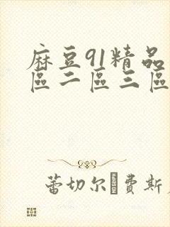 麻豆91精品一区二区三区